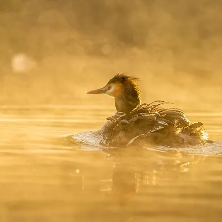Familienhotel Schloss Leizen Bioverpflegung Hotel 4*